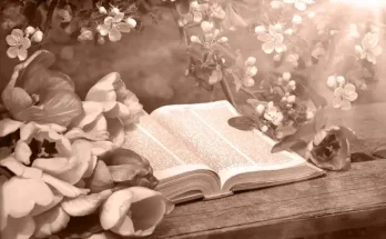Pünkösd a Biblia tükrében: Mit mondanak a szentírások?