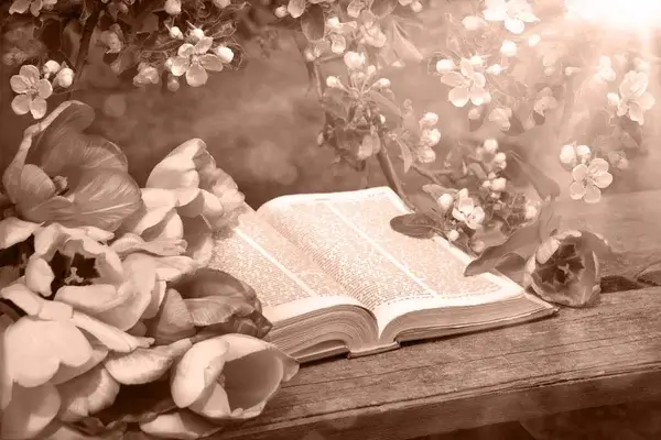 Pünkösd a Biblia tükrében: Mit mondanak a szentírások?