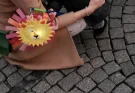 Márton-napi szokások és babonák – mit mondanak a népi hiedelmek?