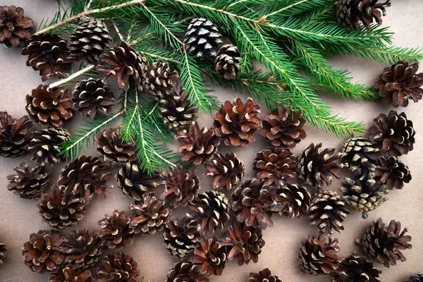 Karácsonyi dekoráció természetes anyagokból