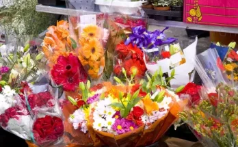 Milyen virág illik legjobban különböző női személyiségtípusokhoz?